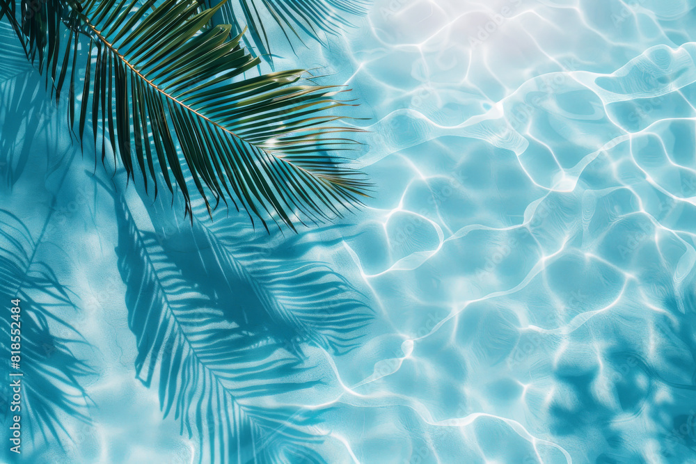 A palm tree is reflected in the water, creating a beautiful and serene scene. The water is calm and clear, and the palm tree's leaves cast a shadow on the water's surface A palm tree is reflected in the water, creating a beautiful and serene scene. The water is calm and clear, and the palm tree's leaves cast a shadow on the water's surface