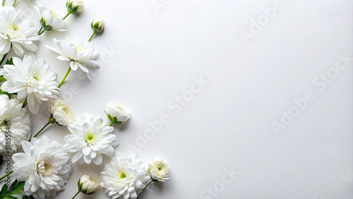 A minimalist flat lay arrangement of white flowers, forming a simple yet elegant border around a blank background, ideal for adding text or graphics. photo