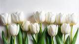 A minimalist arrangement of white tulips set against a clean, white background, symbolizing purity and simplicity.