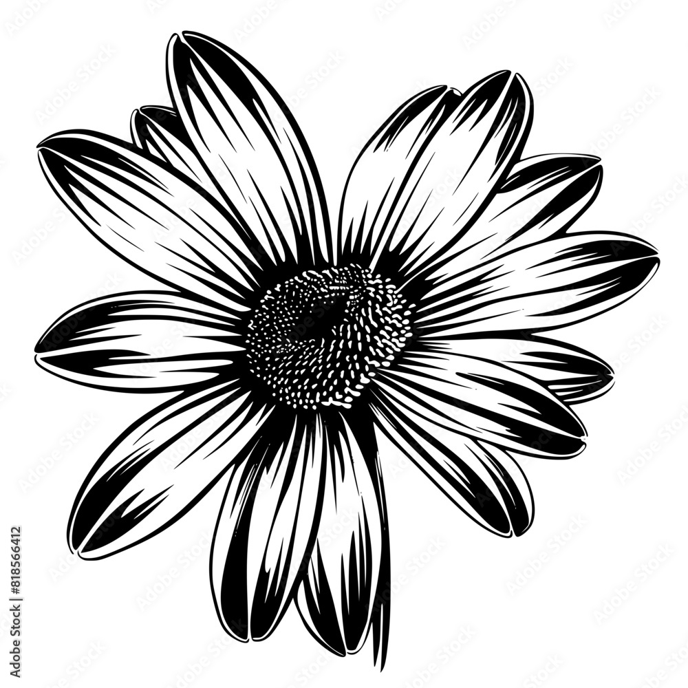 Daisy silhouette, daisy svg, daisy png, daisy illustration, Daisy, Silhouette flower, floral svg, herb svg, flower illustration, flower, floral, vector, nature, illustration, spring, design, pattern, Daisy silhouette, daisy svg, daisy png, daisy illustration, Daisy, Silhouette flower, floral svg, herb svg, flower illustration, flower, floral, vector, nature, illustration, spring, design, pattern,