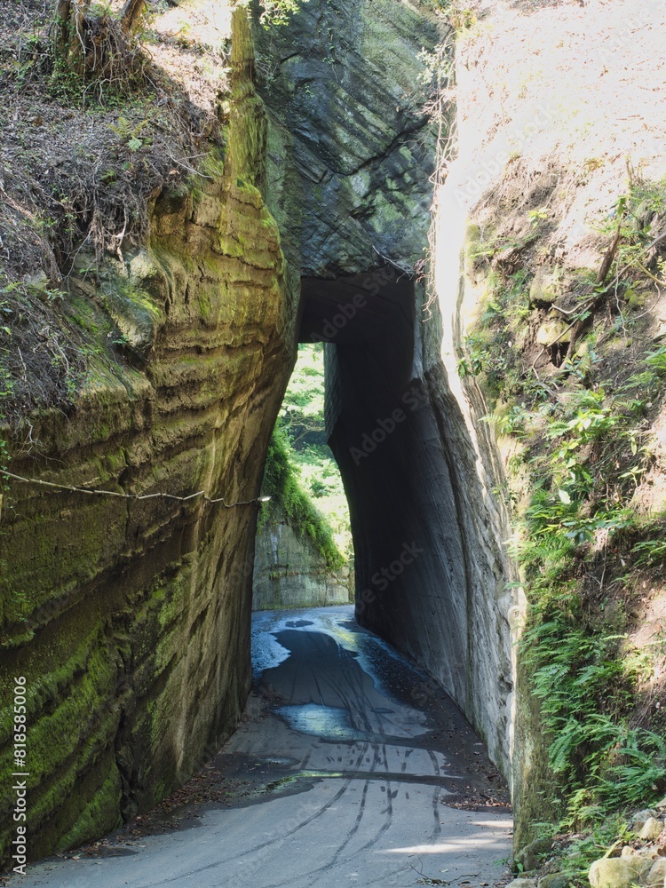 Obraz premium 燈龍坂大師