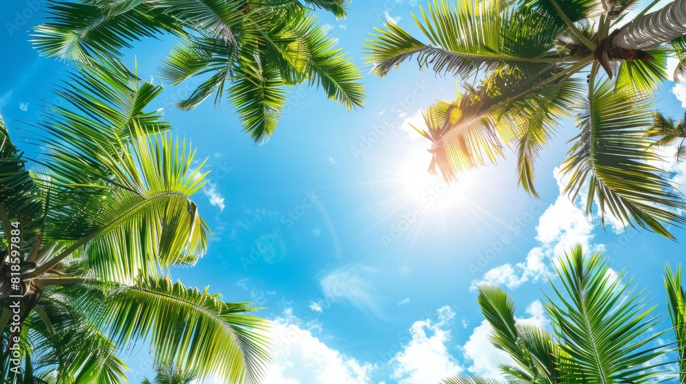 View from beneath a coconut tree cluster, fronds creating a natural border for the vibrant blue sky, idyllic tropical scenery View from beneath a coconut tree cluster, fronds creating a natural border for the vibrant blue sky, idyllic tropical scenery