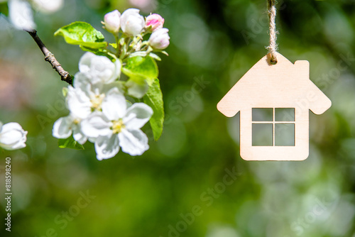 Symbol of the house on the branches of a flowering apple
 photo