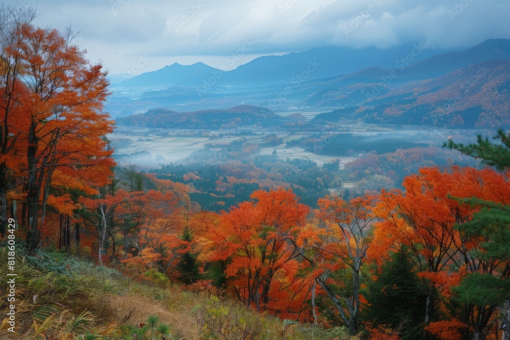 Fototapeta premium Autumn Valley with Vibrant Red and Orange Trees