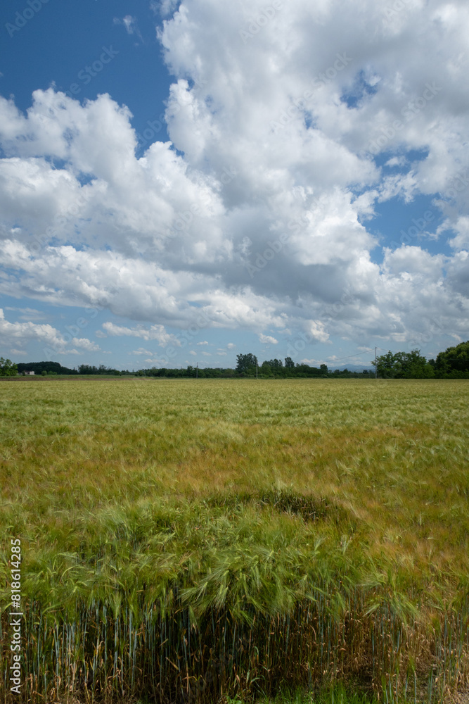 Po Valley