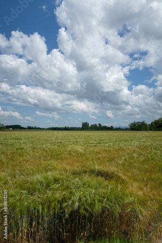 Obraz na płótnie Po Valley w salonie
