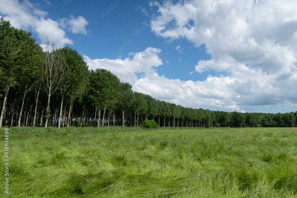 Po Valley