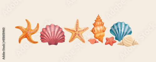 Sea shells, starfishes set. Cartoon flat vector illustration