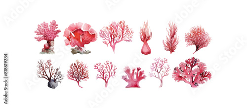 Watercolor Red Coral collection on white background