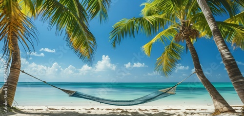 A serene beach scene with palm trees swaying gently in the breeze and a hammock hanging between two of them