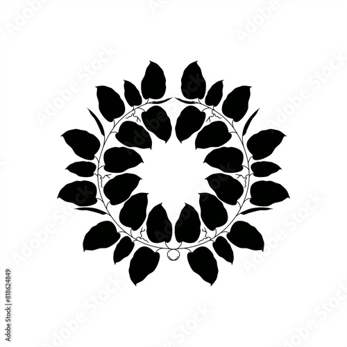 stamp silhouette illustration of tendrils of the monstera obliqua plant. as an icon or logo. round frame