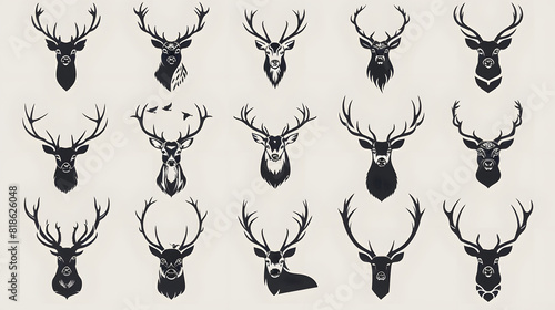 deer of various sizes and colors.