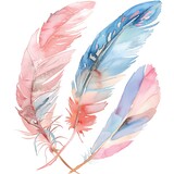 An illustration of three watercolor feathers. The feathers are pink, blue, and white.