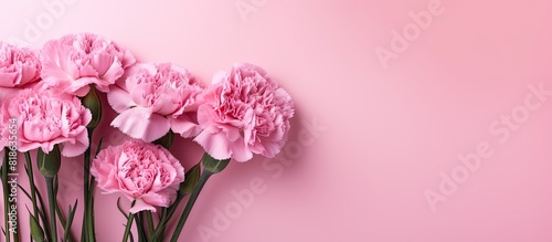 Wallpaper Mural A copy space image featuring pink carnation flowers on a pink background Torontodigital.ca