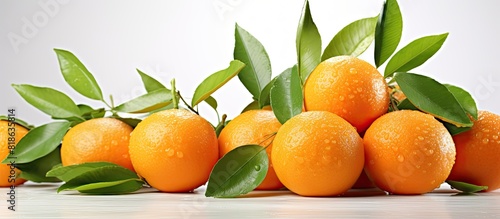 Isolated on a light background there is a copy space image of fresh ripe mandarins or tangerines along with their leaves