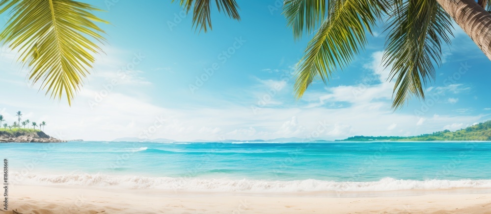 A serene tropical beach scene with palm trees and a vibrant turquoise sea offering plenty of copy space for an image A serene tropical beach scene with palm trees and a vibrant turquoise sea offering plenty of copy space for an image