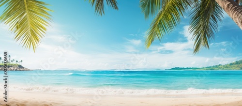 A serene tropical beach scene with palm trees and a vibrant turquoise sea offering plenty of copy space for an image