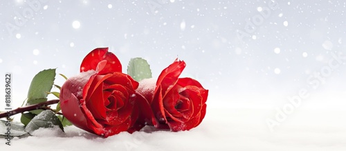 A St Valentine greeting card featuring red roses and a heart displayed on a white snowy background providing ample copy space for text