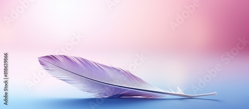 A blue feather is shown in close up set against a softly blurred pink background creating a captivating copy space image