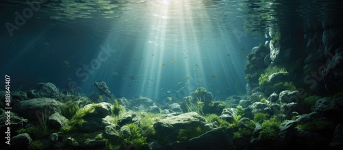 Copy space image of a serene underwater setting