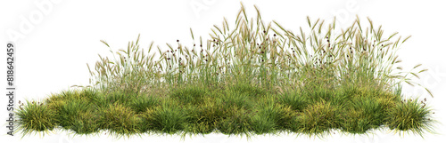 Obraz na płótnie grass line 4 fresh w salonie
