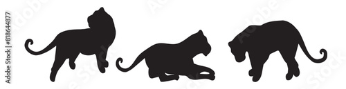 leopard vector silhouette. african animals leopards vector silhouettes collection