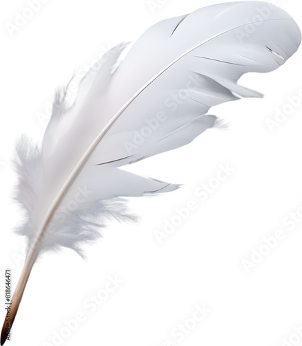 Close-up of white feathers inspired by a white cockatoo. photo