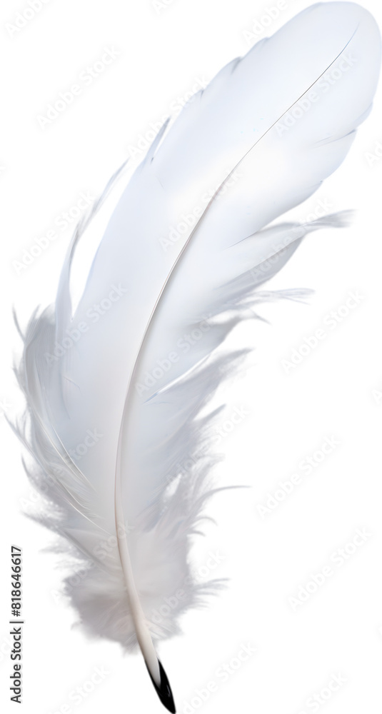 Close-up of white feathers inspired by a white cockatoo. Close-up of white feathers inspired by a white cockatoo.