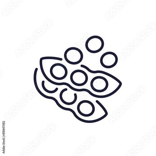 soybeans line icon on white, soy beans vector
