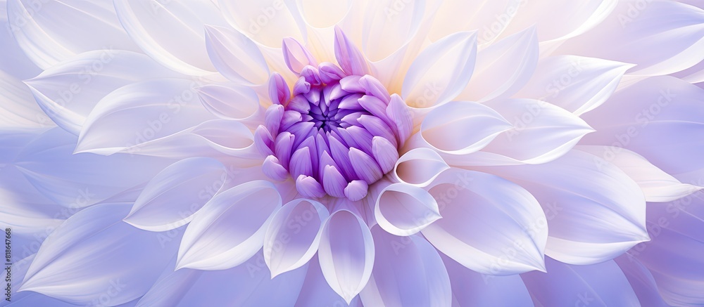 Fototapeta premium The background of the template features a dahlia flower in purple and white surrounded by a square border that provides ample copy space