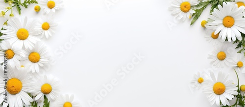 Top view of a white background with a blank frame featuring a mockup Chamomile daisy flower buds add a creative touch to the summer and spring themed copy space image