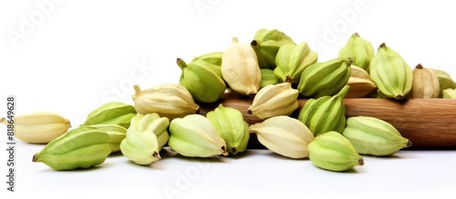 Wallpaper Mural A close up shot displaying green cardamom pods isolated on a white background with copy space available for text or images It represents a spices food and cooking concept Torontodigital.ca