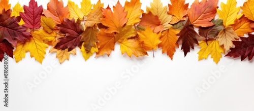 A top down view of a border...