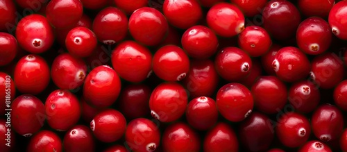 A macro view of ripe red cr...