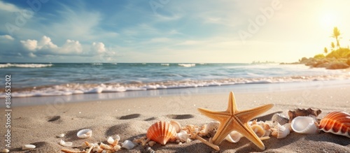 Copy space image of a beach scene adorned with coconuts starfish shells and coral creating a picturesque summer backdrop