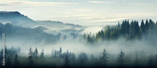 On a misty morning with a foggy ambiance one could observe the tree tops in the forest There is a serene and peaceful atmosphere surrounding the landscape A copy space image could capture this tranqu