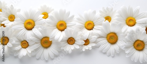 White background copy space...