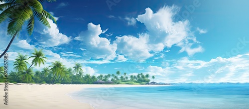 A beautiful tropical beachfront featuring coconut palm trees and a spacious sky for leaving a message. with copy space image. Place for adding text or design