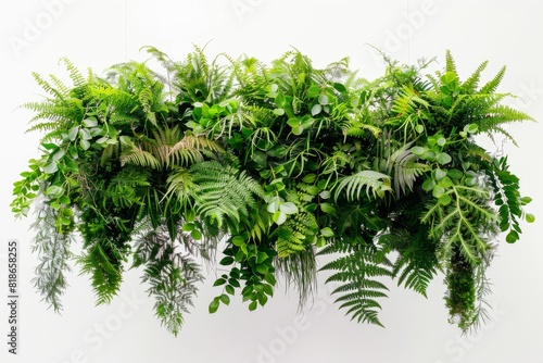 A green plant with lush ferns hanging from the side of a wall in a symmetrical arrangement
