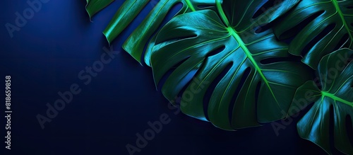Neon light illuminates the ...