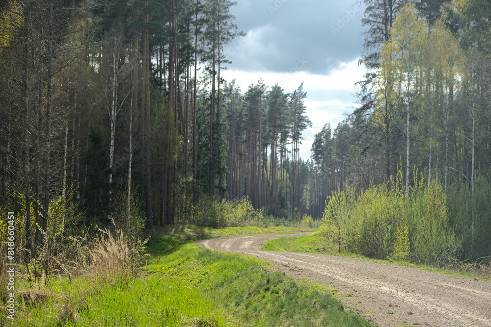 Fototapeta premium Beautiful small gravel road through lush green north Europe forest.