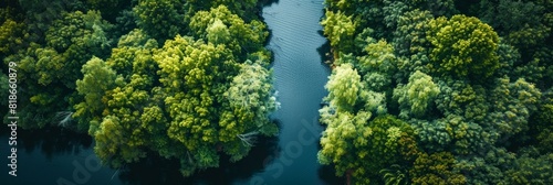 River Landscape Aerial View for Nature Themes Generative AI