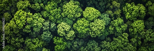 Aerial View of Lush Forest Canopy for Nature Backgrounds Generative AI