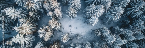 Winter Wonderland Aerial View for Travel and Adventure Generative AI