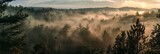 Morning Fog Over the Forest Landscape Generative AI