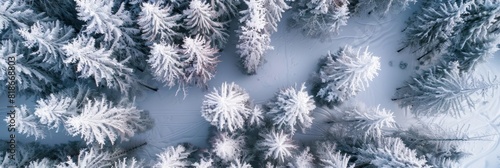 Winter Wonderland Aerial View for Travel and Adventure Generative AI © Alex