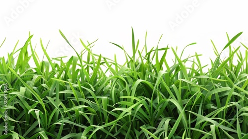 Grass Pattern on White Background for Eco-Friendly Designs Generative AI