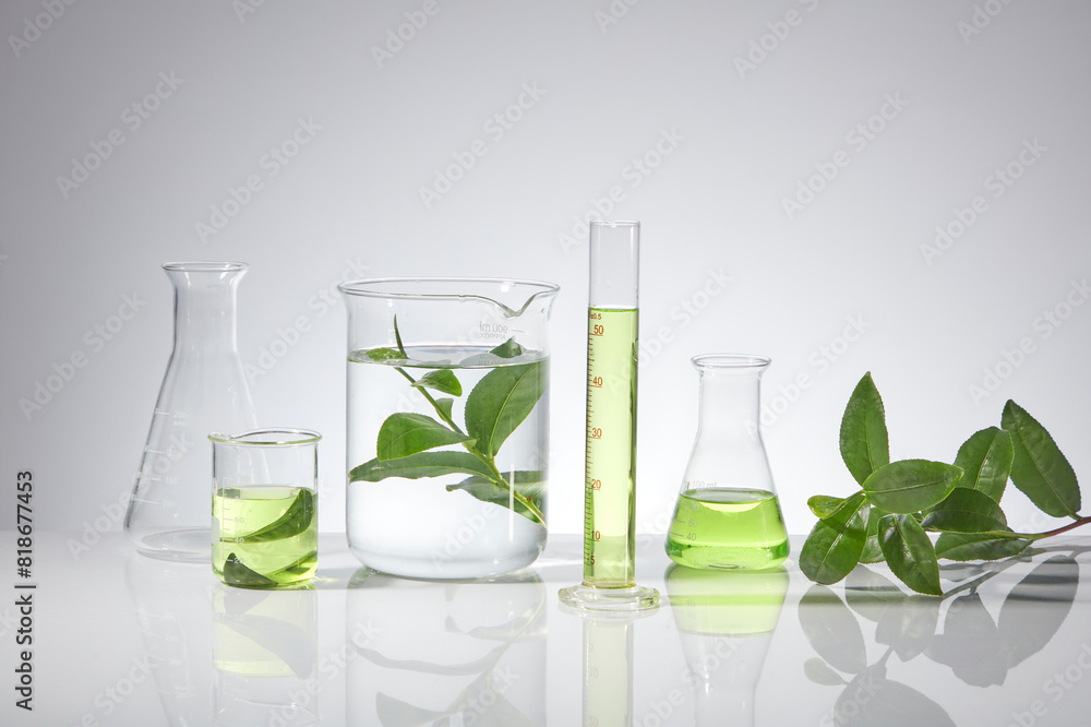Laboratory instruments containing green tea essence and fresh green tea leaves are arranged in a horizontal row on a white table top. Frontal shot photo with blank space for design Laboratory instruments containing green tea essence and fresh green tea leaves are arranged in a horizontal row on a white table top. Frontal shot photo with blank space for design