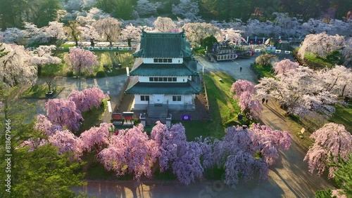 Japanese samurai castle with cherry blossom, drone view of Japanese castle in springtime, aerial view of Hirosaki castle in Japan photo