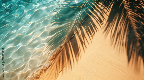 Tropical Leaf Shadow on Water Surface